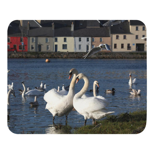 Swans Meet At Claddagh Galway Mouse pad