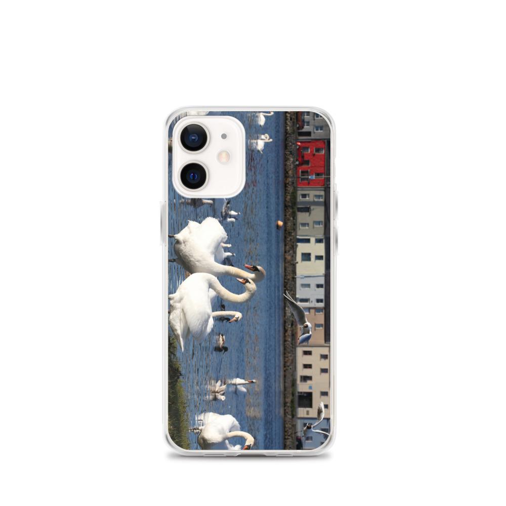 Swans Meet At Claddagh Galway iPhone Case