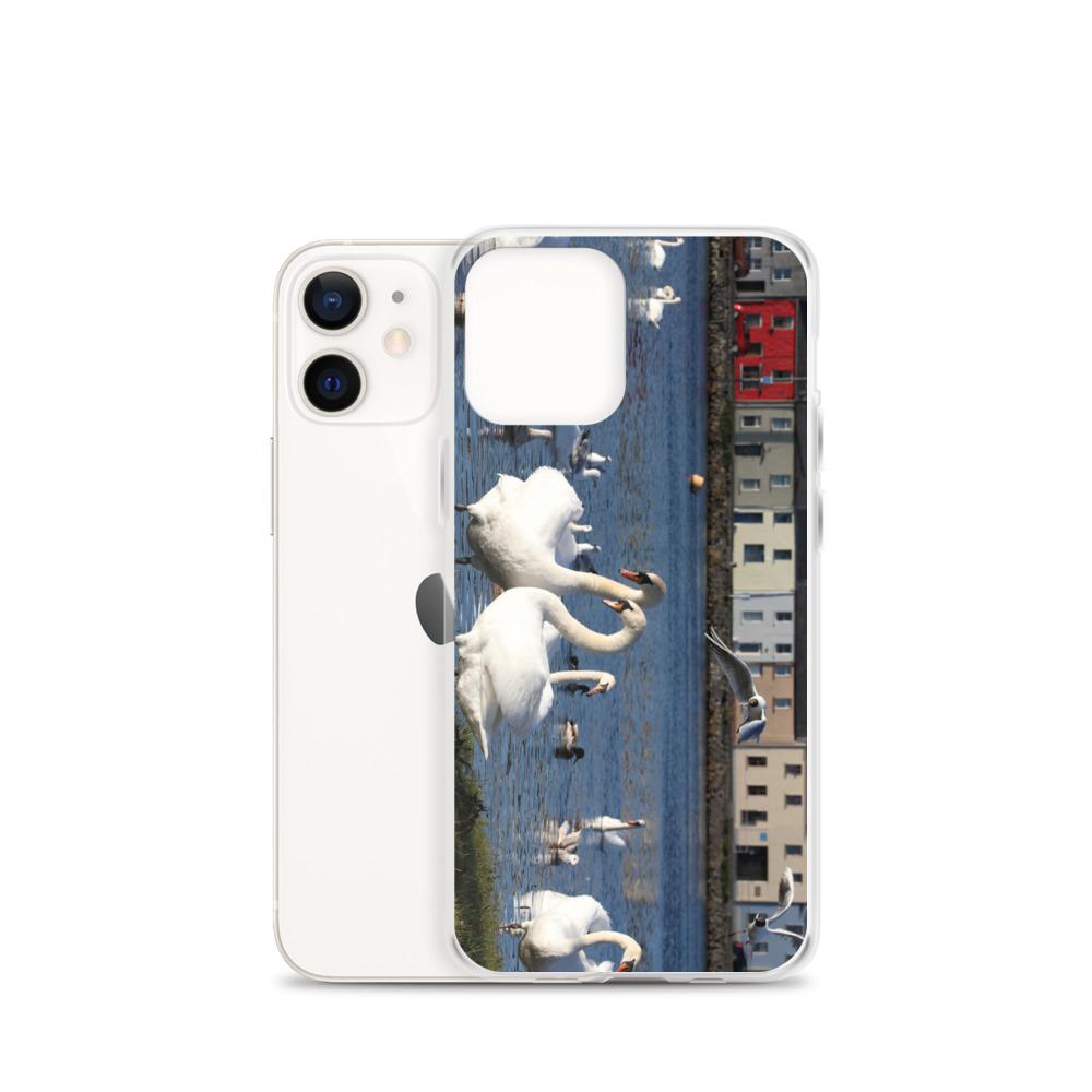Swans Meet At Claddagh Galway iPhone Case