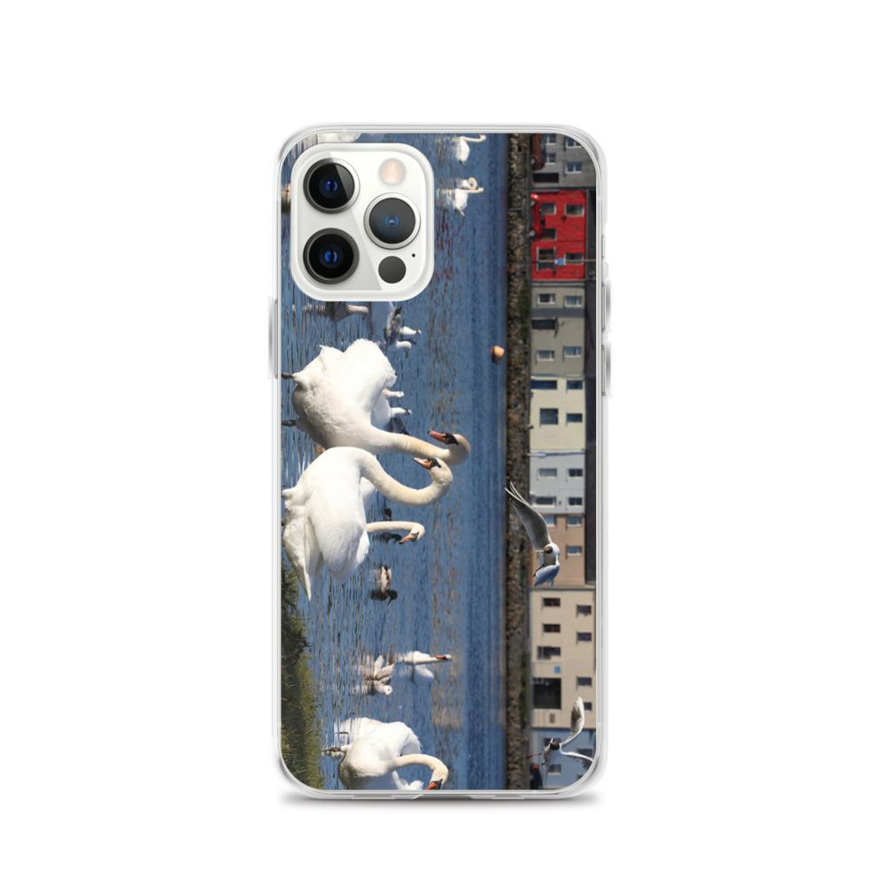 Swans Meet At Claddagh Galway iPhone Case