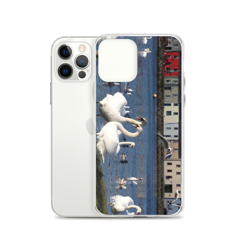 Swans Meet At Claddagh Galway iPhone Case