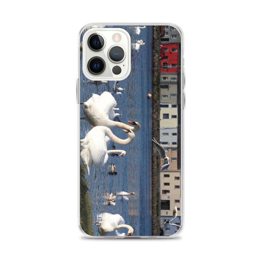 Swans Meet At Claddagh Galway iPhone Case