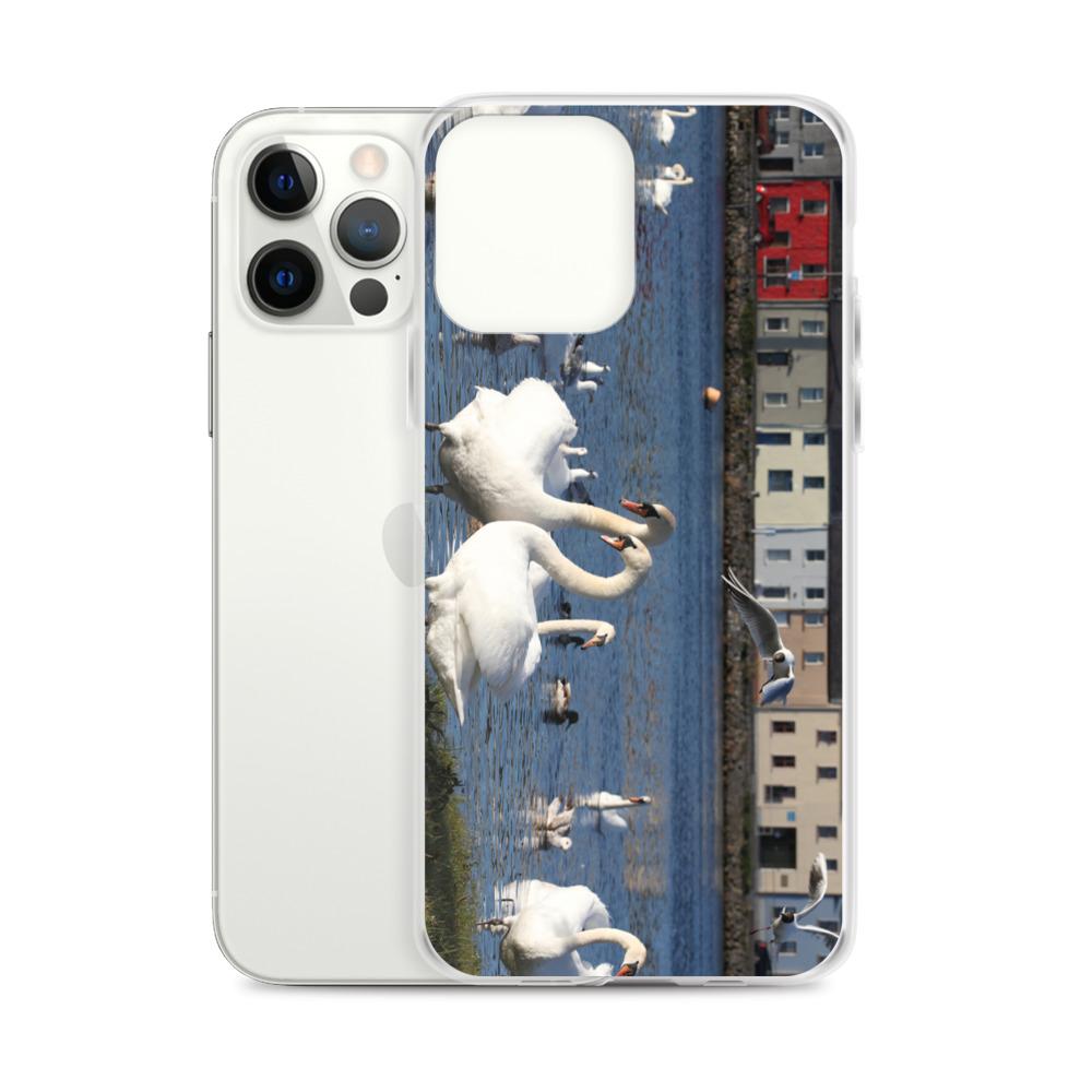 Swans Meet At Claddagh Galway iPhone Case
