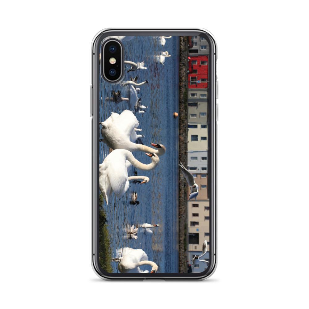Swans Meet At Claddagh Galway iPhone Case