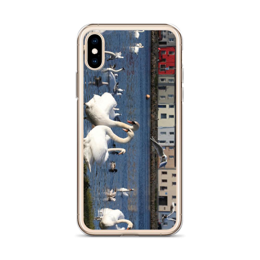 Swans Meet At Claddagh Galway iPhone Case