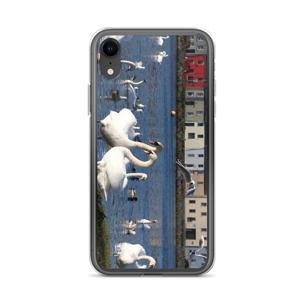 Swans Meet At Claddagh Galway iPhone Case
