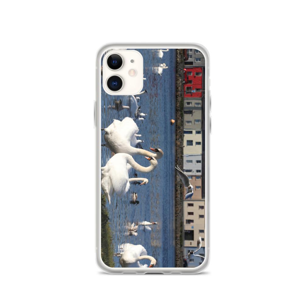 Swans Meet At Claddagh Galway iPhone Case
