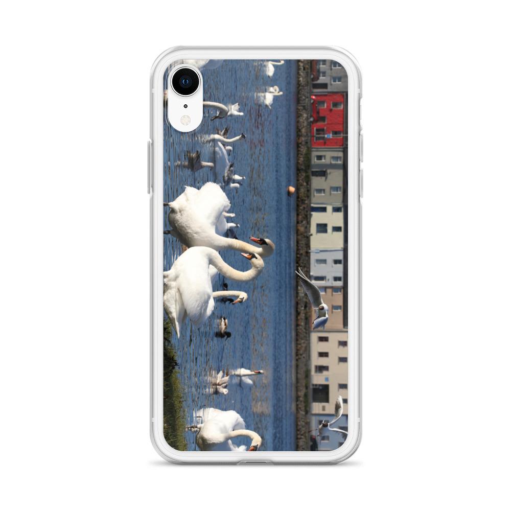 Swans Meet At Claddagh Galway iPhone Case