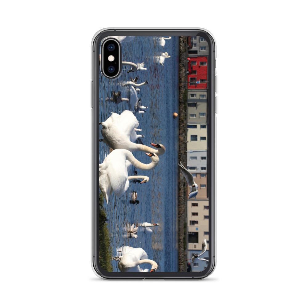 Swans Meet At Claddagh Galway iPhone Case