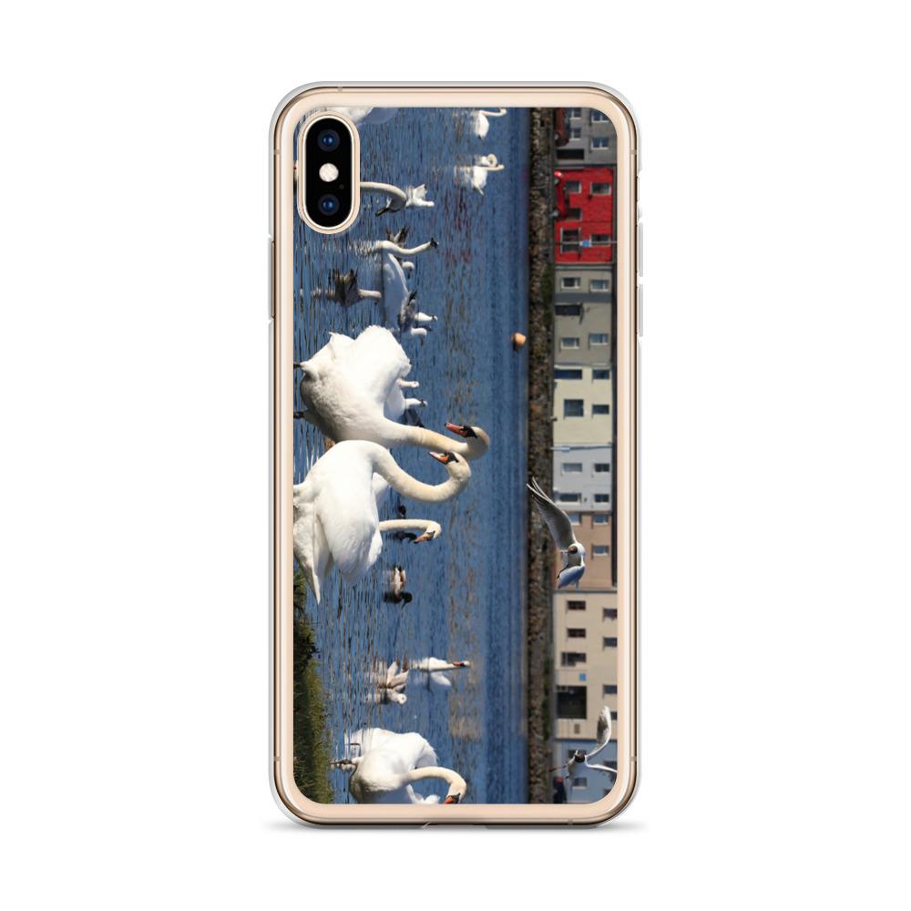 Swans Meet At Claddagh Galway iPhone Case