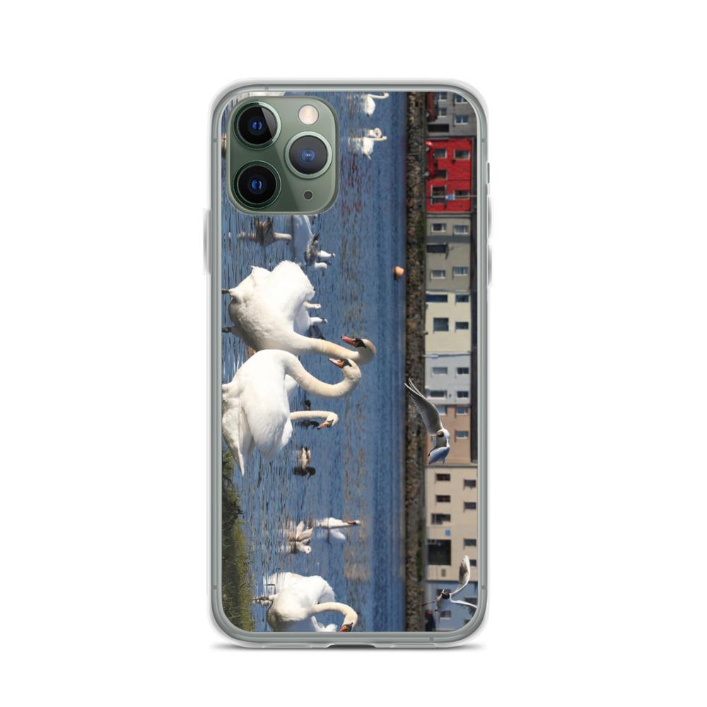 Swans Meet At Claddagh Galway iPhone Case