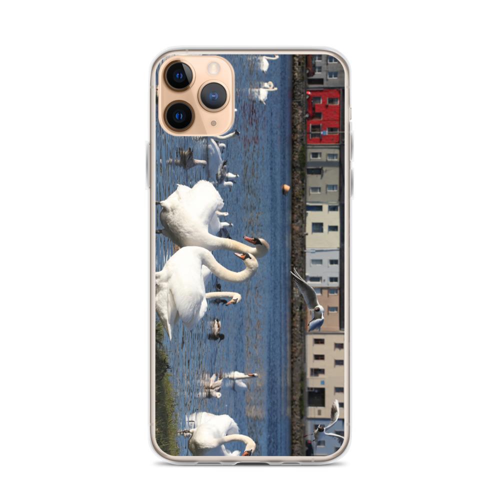 Swans Meet At Claddagh Galway iPhone Case