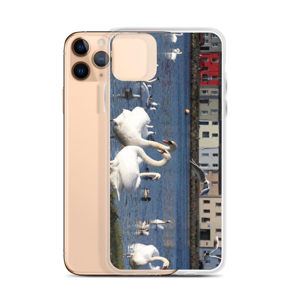 Swans Meet At Claddagh Galway iPhone Case