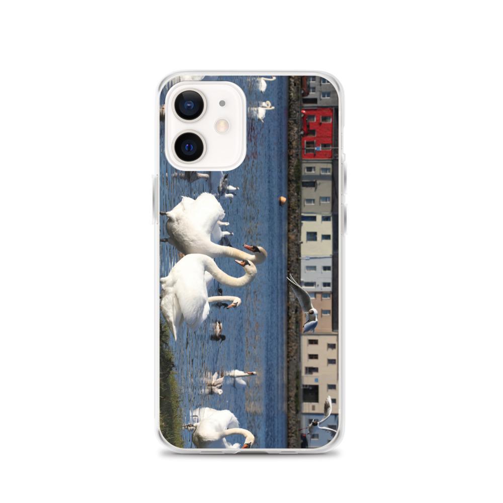 Swans Meet At Claddagh Galway iPhone Case